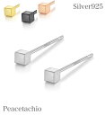 【明日は5のつく日!限定価格】ピアス シルバーピアス シルバー Silver925 四角 クール 超極小 約2mm 小さい 小さめ 小ぶり つやなし マット ミ...