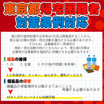 ピースアップ A4サイズ 災害備蓄用 29点 防災セット 東京都帰宅困難者対策条例 帰宅難民対応 最低限必要な 3日間分 防災グッズ セット 一人用 3日分 地震 震災 対策 保存食 非常食 セット 防災用品 アルファ米 保存水 非常用 簡易トイレ 男性 女性用 子供用 非常持ち出し袋