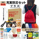 【 10/20限定 確率1/2 最大100%P還元 】 充実A4防災セット プラス 1人用 非常用持ち出し袋 防災グッズ ナップサック コンパクト A4ボックス 非常食 おにぎり 保存水 簡易トイレ オフィス防災 分散備蓄 災害対策 迅速避難 EVERSAFE A4J1