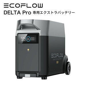 5/1!Ψ1/2 100PԸѥȥХåƥ꡼ EcoFlow DELTA Pro 3600Wh 1.125.000mAh ѥХåƥ꡼ ݡ֥Ÿ ץб ® Ÿ  ɺҥå ȯŵ  । ӥѥå ե DELTAProEB-JP