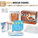 一食ボックス 煮込みハンバーグ&ライス 非常食 レスキューフーズ 3年保存 防災食 温かい 保存食 防災グッズ 日本災害食 簡単調理 発熱剤 加熱袋 備蓄品 非常用 アウトドア レトルト 缶詰 ホリカフーズ(3)