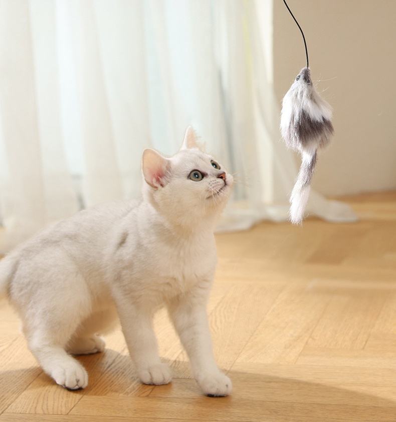 卸売高級猫おもちゃ 自動猫ボール 3モード 電動ペットおもちゃ 一人で遊べる 狩猟本能刺激 外出時に猫と遊ぶのに最適 (ダークグレー)