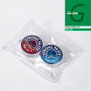 2024-25 GALLIUM STRONG PASTE SET SW2189 ガリウム ワックス メンテナンス スノーボード スキー 日本正規品