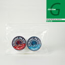 KE GALLIUM STRONG PASTE set 30ml~2 y[XgbNX ȈՃbNX SW-2189 Xm[{[h XL[ eiXpi `[jO {Ki