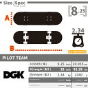 【コンプリート】DGK PILOT TEAM 8.25 × 32.0 Inch ディージーケー パイロット スケートボード スケボー