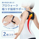 4/27までSALE　プロウォーク2枚入り 極うす猫背サポーター 姿勢矯正サポーター 姿勢矯正ベルト 猫背矯正サポーター 猫背矯正ベルト 猫背サポーター 姿勢ベルト 背筋ベルト 巻き肩 猫背 肩こり サポーター 補正 腰痛 腰猫背 美姿勢 男女兼用 敬老の日