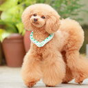 犬 ペット用 夏 ひんやり クール ダウン クールリング 熱中症対策 暑さ対策 BIO原料使用 リユース 繰り返し使用可 28℃以下 自然凍結 SUO RING...