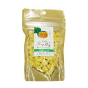 【DRS.CHOICE】ドクターズチョイス 納豆菌フリーズドライ かぼちゃ 犬用 おやつサプリメント ビタミンE 納豆菌乳酸菌分泌生産物質 腸内環境 健康維持