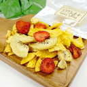【DOG'S TABLE PLUS】ドッグステーブルプラス 果物ミックスチップス <犬用>トリーツ おやつ 安心 安全 マンゴー パイン いちご キウイ 特殊フライ製法