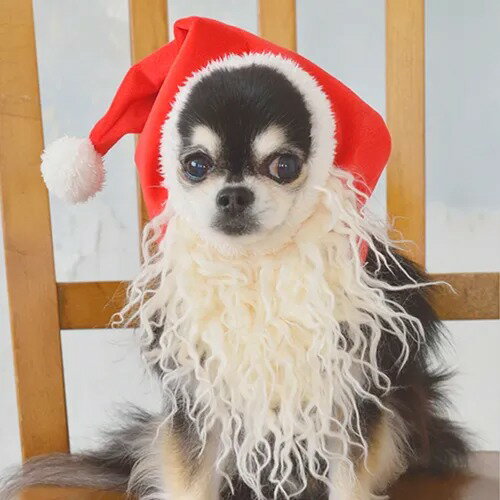 【Solgra】ソルグラ サンタ帽子 犬用 帽子 さんたさん クリスマス コスチューム 立派なお髭 イベント