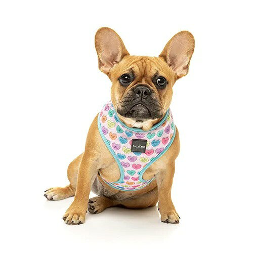 Say What Now? Fashion Harness ソフトハーネス かわいいデザインのソフトハーネスはファッションのように気分で着回してもいいかも。 ワンタッチ装着だから「らくらく簡単」。 裏地メッシュ素材でやわらか。 サイズ おしゃれでかわいい犬用ソフトハーネスは、小型犬・中型犬にぴったり★ XSサイズ：胸囲 約26-31cm、頭周り22cm 参考犬種：パピー、トイブリーズ Sサイズ：胸囲 約33-41cm、頭周り26cm 参考犬種：チワワ、ヨーキー、ミニピン Mサイズ：胸囲 約37-49cm、頭周り32cm 参考犬種：プードル、シーズー Lサイズ：胸囲 約49-68cm、頭周り40cm 参考犬種：パグ、ミニチュアシュナウザー XLサイズ：胸囲 約53-75cm、頭周り43cm 参考犬種：フレンチブル、コッカー ＊ご購入の際は、ペットの胸囲、首周りの採寸をしてサイズをお選びください。 　胸囲はもっとも太い場所をお測りください。 ＊参考犬種は標準犬種をもとに記載しております。 　個体差によりサイズが異なるのでご注意ください。