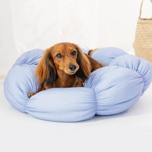 【Solgra】ソルグラ　ブルーベリー柄花型ベッド 犬 ペット用 春 夏 快適 ひんやり クール 冷感 あごの..