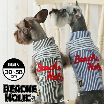 【半額以下☆70%OFF】【2018年春夏新作】【BEACHE HOLIC】ビーチェホリックボーダーシャツ小型犬&中型犬サイズ