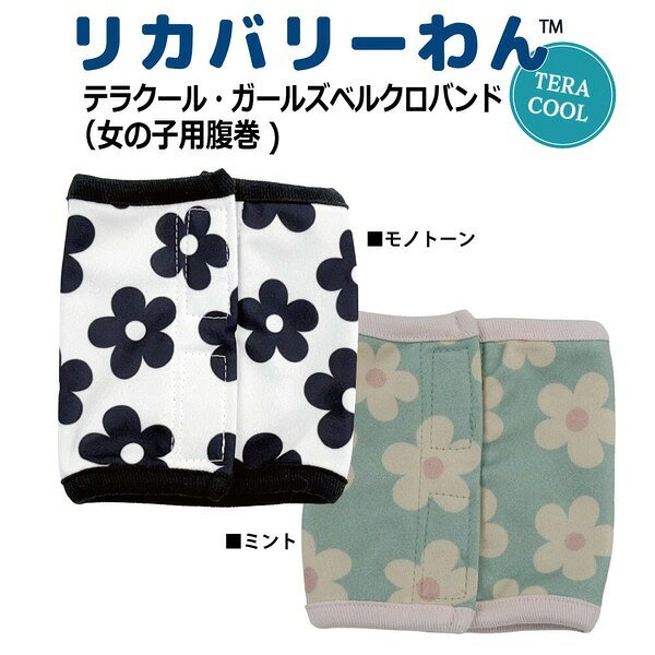クークチュール CooCouture テラクール・ガールズベルクロバンド 7346犬服 ドッグ...