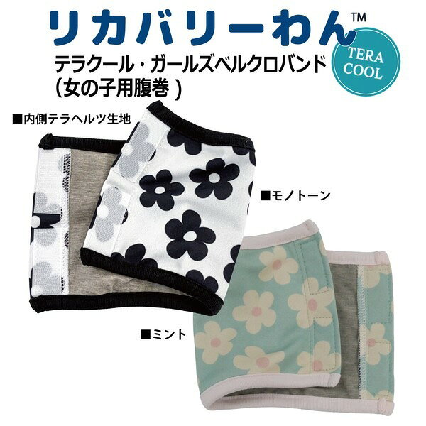 クークチュール CooCouture テラクール・ガールズベルクロバンド 7346犬服 ドッグ...