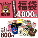  킢 H~ p PeachRover s[`[o[ 5_范