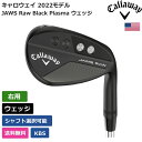 タイトリスト T100 アイアン 単品（#3,#4,W） MCI 100 カーボンシャフト（日本正規品） 【カスタムオーダー】 T100