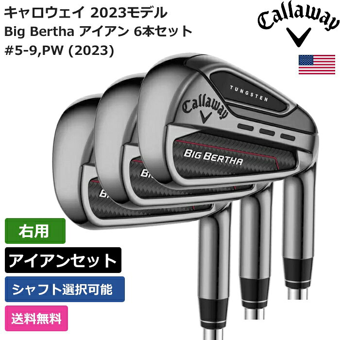 6763 Callaway BIG Bertha レディース 右利き 2本セット