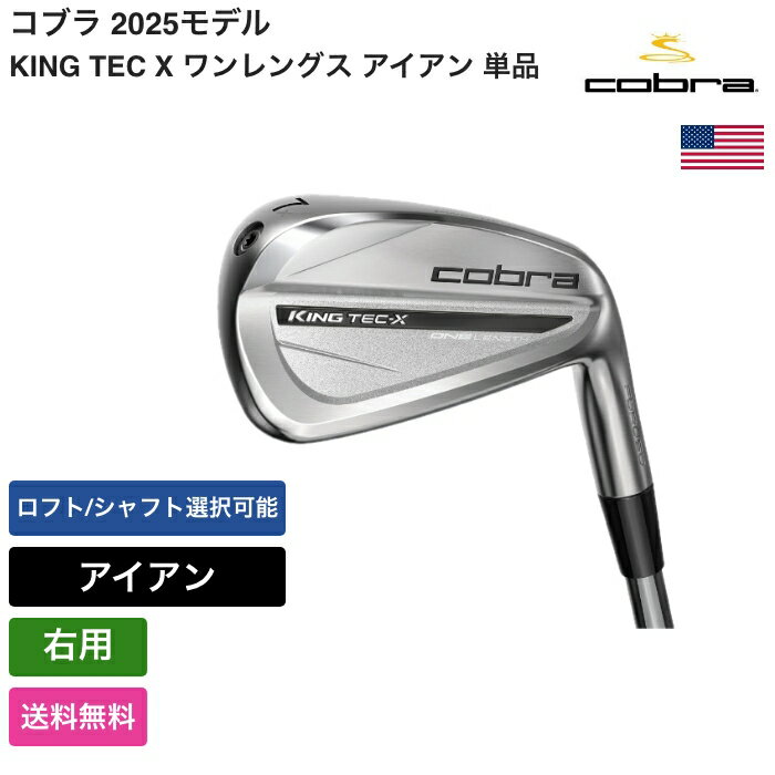 楽天市場】ワンレングスアイアン（ブランドコブラ）の通販