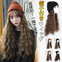 【高評価続出!】ウィッグ ウィッグ付き帽子 ニット 帽 帽子 ニット帽子付きフルウィッグ ウェーブ 秋冬 新作 コスプレ ロング おしゃれ ハット 帽子付き ウィッグ付き帽子 レデイース 女性 人気 日用品 高級 冬用 冬 暖かい 小顔効果 贈り物 演劇 仮装 自然
