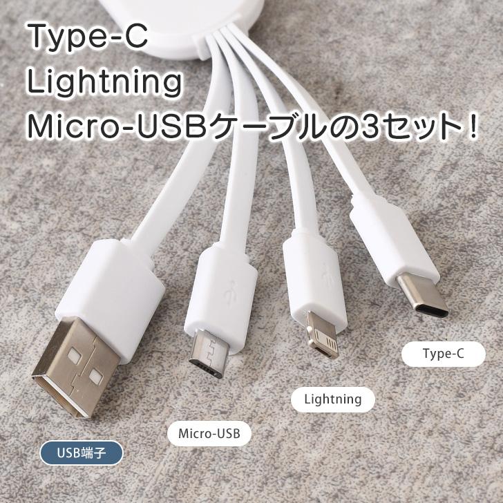 USBケーブル 充電器 充電コード コンパク ト Type-C Lightning Micro-USB iPhone iPad Android 送料無料