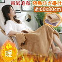 電気毛布 毛布 電気毛布 敷き 膝掛け 膝掛け ブランケット 電気毛布 掛け敷き兼用 電気毛布 usb 電気膝掛け 膝掛け 電気 電気肩掛け毛布 モバイルバッテリー、PC対応 オフィス、家庭、車内で使用可能 柔らかい 秋冬向け おしゃれ 省エネ 単身用 80×60cm 送料無料