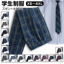 制服 コスプレ 男装 学生制服スカート スラックス メンズ 2点セット チェック柄 プリーツスカート スクール 蝶結び ネクタイ付き 女子高生スカート レディー...