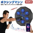 【2024人気商品最新型】スマートディスプレイ付き音楽ボクシングマシン、子供と大人 音楽ボクシングマシン 壁パンチングバッグ ボクシングトレーニングパンチング機...