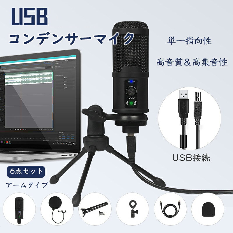 マイク USB コンデンサーマイク 高音