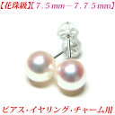 【第19弾】【花珠級】【テリテリの高品質】アコヤ真珠 ピアス 7.5mm-8mm 花珠 ピアス 真珠 ピアス 真珠 イヤリング 真珠 チャーム あこや真珠 ピア...
