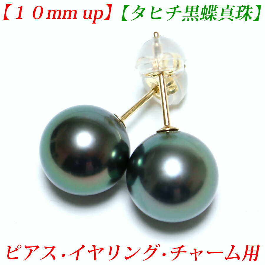 【第11弾】【卸直販】【ピーコック系】【花珠級】タヒチ黒蝶真珠 ピアス　10mm-11mm 黒蝶真珠ピアス 黒蝶真珠イヤリング　黒蝶真珠チャーム 真珠ピアス パールピアス 黒真珠 ピアス 真珠 ピアス 真珠 チャーム パール ピアス メール便送料無料