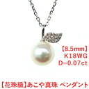 あこや真珠 8.5mm ペンダント K18WG ダイヤ0.07ct アコヤ真珠 ペンダント パール ペンダント 18金 akoya 珍珠 akoya 海水真珠 akoya Pearl akoya 珍珠吊墜