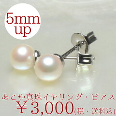 https://thumbnail.image.rakuten.co.jp/@0_mall/pearl-factory/cabinet/item/category/earring_pierce/ae8267akai2.jpg