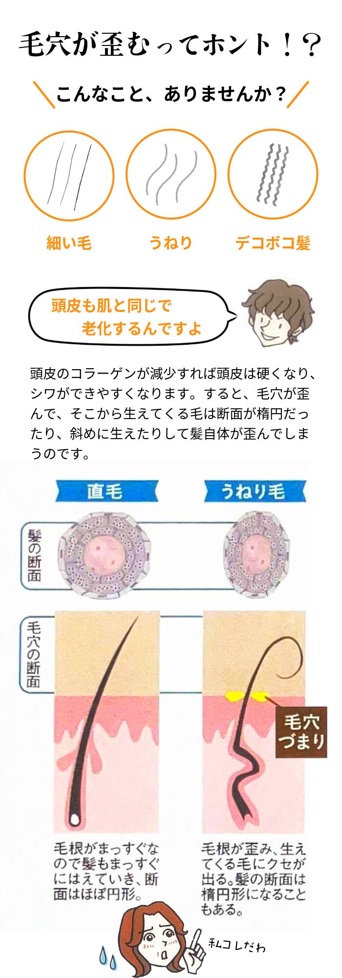 アミノ酸系 ノンシリコンシャンプー 【DERU DETAシャンプー 250ml】◆スカルプブラシ プレゼント付き 保湿 コラーゲン配合 毛髪 育毛中にも 頭皮に優しい エイジングケア ボリューム 毛立ち ふんわり ミドル世代から シニア世代まで pearl-laboratory-10000020 パールラボラトリー公式楽天市場店 サンプル画像3