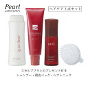 ヘアケア3点セット ★スカルプブラシプレゼント★医薬部外品【薬用 DETA GOMO・デルデタシャンプー・デタヘアローション】トニック 育毛 シリカ パック 抜...