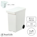 【11月1日限定ポイント2倍!】 パール金属公式 袋のまま保存 米びつ 5kg用 1合カップ付