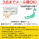 【犬印本舗 マタニティ ショーツ】【3点までメール便可】マタニティ対応♪ウエストらくらくショーツ　SH2498【レビュークーポンお値引対象外】 3