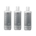 シュワルツコフ イゴラ オキシジェンタ 6% 1000ml ×3本セット