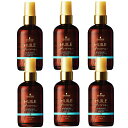 シュワルツコフ ユイルアローム ヘアオイル ハーモニー 100ml ×6点セット