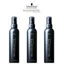 シュワルツコフ シルエット ハードミスト 200ml 【3本セット】