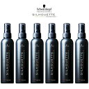 シュワルツコフ シルエット ハードミスト 200ml 【6本セット】