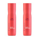 ウエラ インヴィゴ INVIGO カラーブリリアンス カラーヘア シャンプー 250ml 【2本セット】