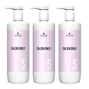 シュワルツコフ サロンオンリー シャンプー 1000ml ポンプ【×3点セット】
