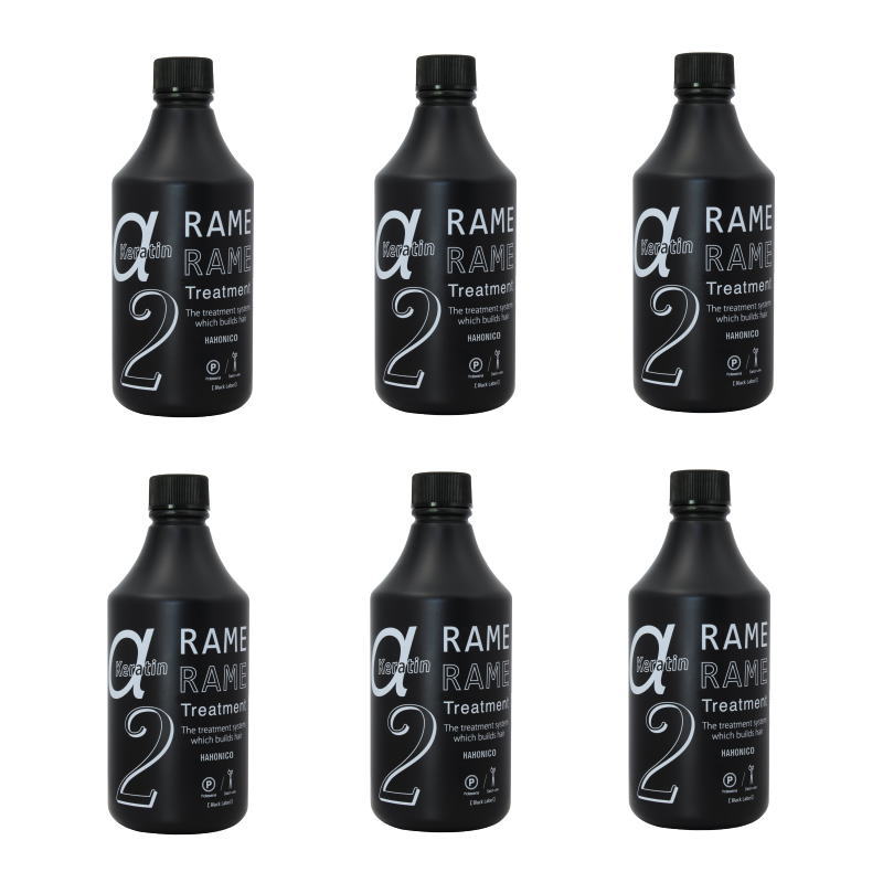 ハホニコ ザ・ラメラメNO.2 DCチェンジャー ジ アルファー(500ml) ×6点セット