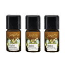 farfalla ファファラ アロマブレンド むかむか バランス<レモン>(5ml) ×3点セット(4)