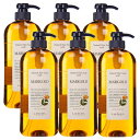 ルベル ナチュラル ヘア ソープ ウィズ MG 720ml【6個セット】