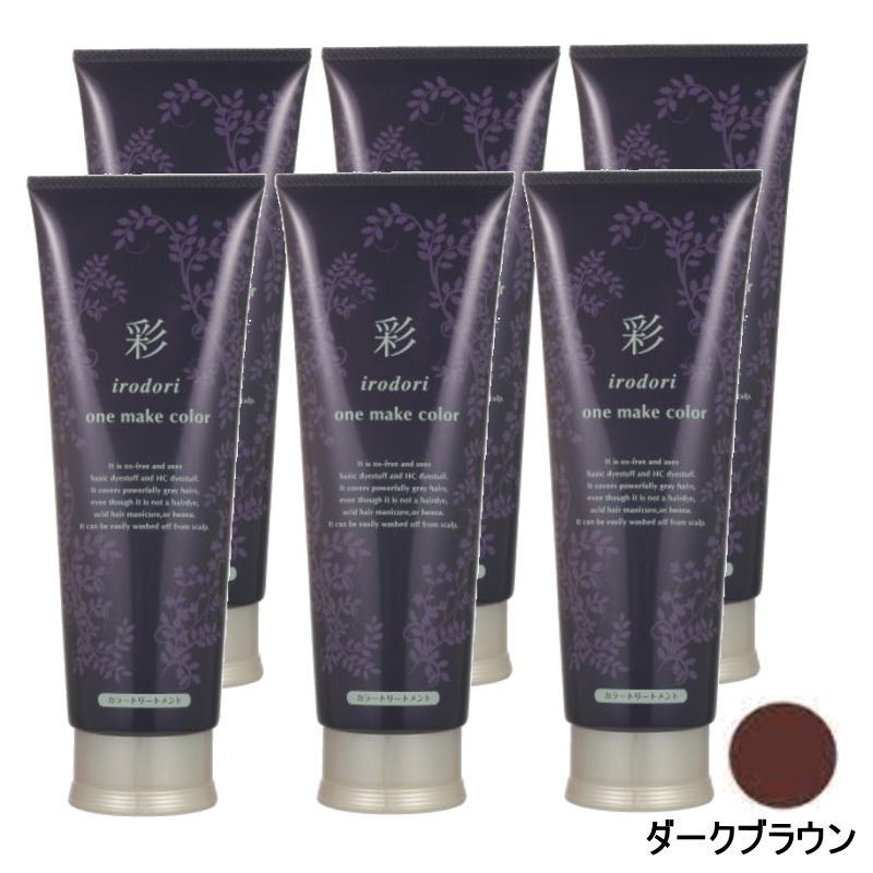 イリヤ 彩 ONEメイクカラー ダークブラウン 250g×6点セット