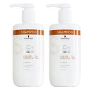 シュワルツコフ BCクア カラースペシフィーク シャンプー 750ml×2点セット