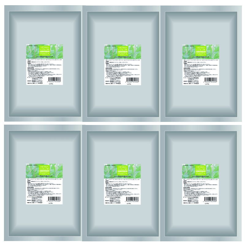 テクノエイト　ピアンタヘナ　ハーブトリートメントヘナ　500g【6個セット】