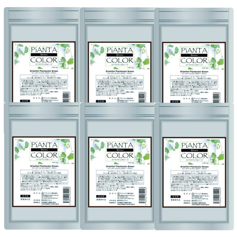 テクノエイト　ピアンタヘナ　ブラウン　100g【6個セット】